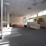 Lokal na wynajem