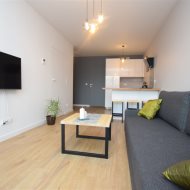 Mieszkanie na wynajem