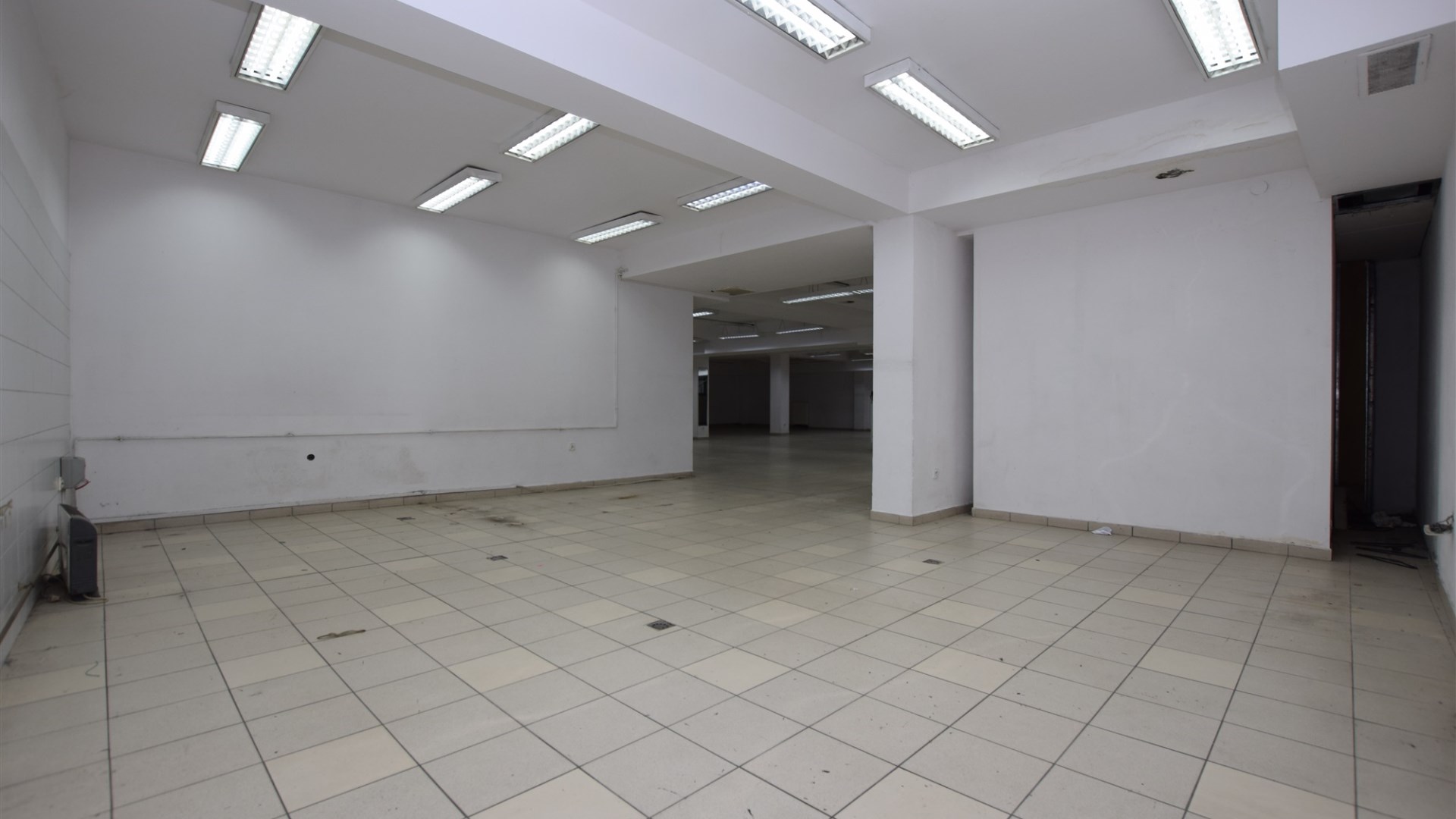 Lokal na wynajem