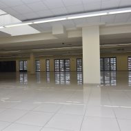Lokal na wynajem
