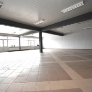 Lokal na wynajem